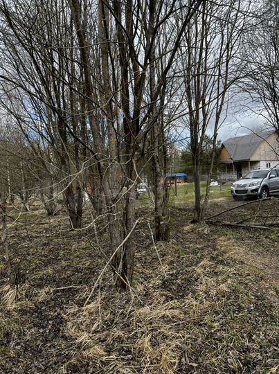 Участок 15 сот. (ИЖС)