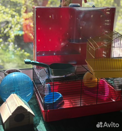 Клетка для хомяка Ferplast Olimpia