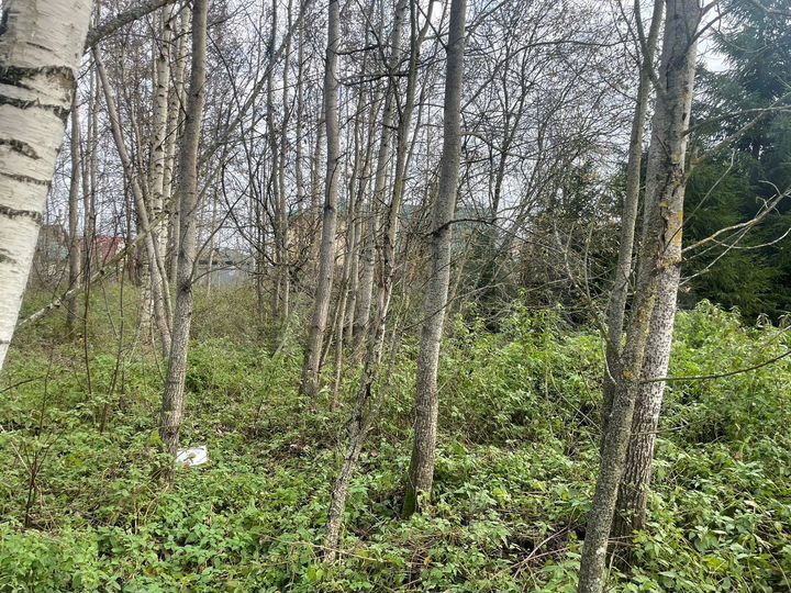 Участок 11 сот. (ИЖС)