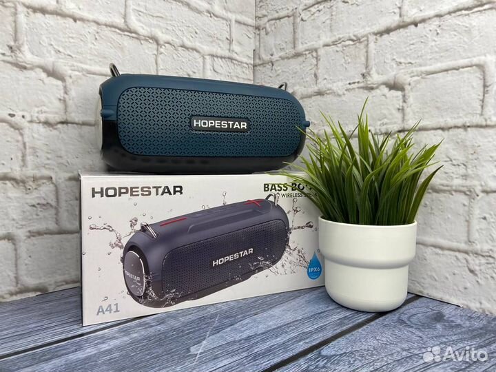 Колонка Hopestar A41 Мурена