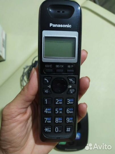 Panasonic
