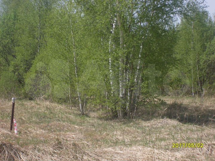 Участок 15 сот. (ИЖС)