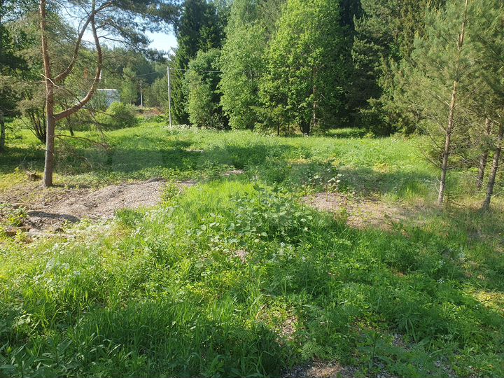 Участок 25,2 сот. (ИЖС)