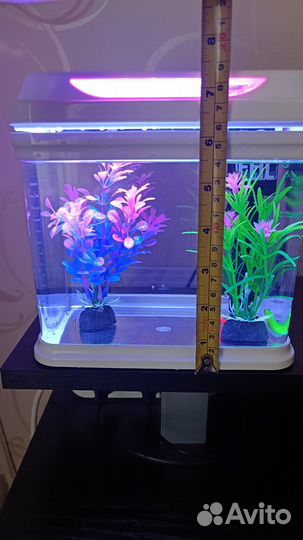 Аквариум с рыбками