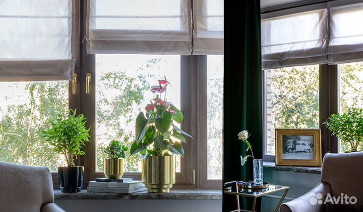 Окна деревянные