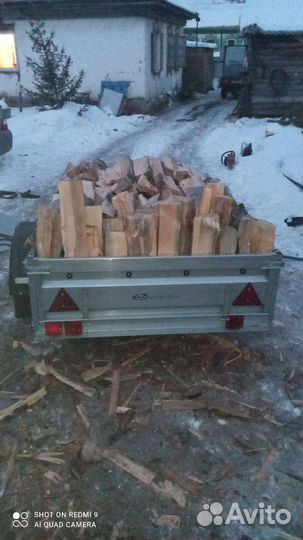 Доставка дров легковым прицепом