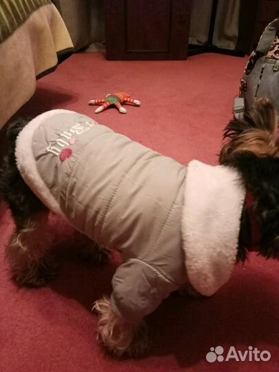 Курточка на собачку р.М