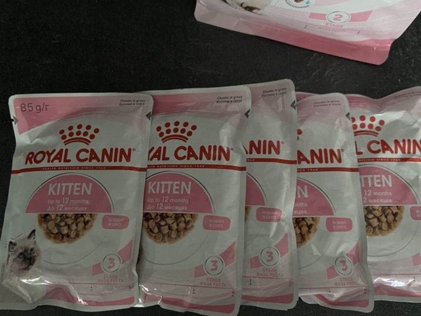 Корм royal canin kitten