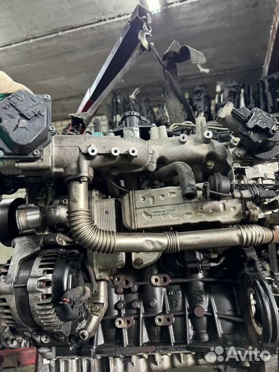 Двигатель d20dtr 671960