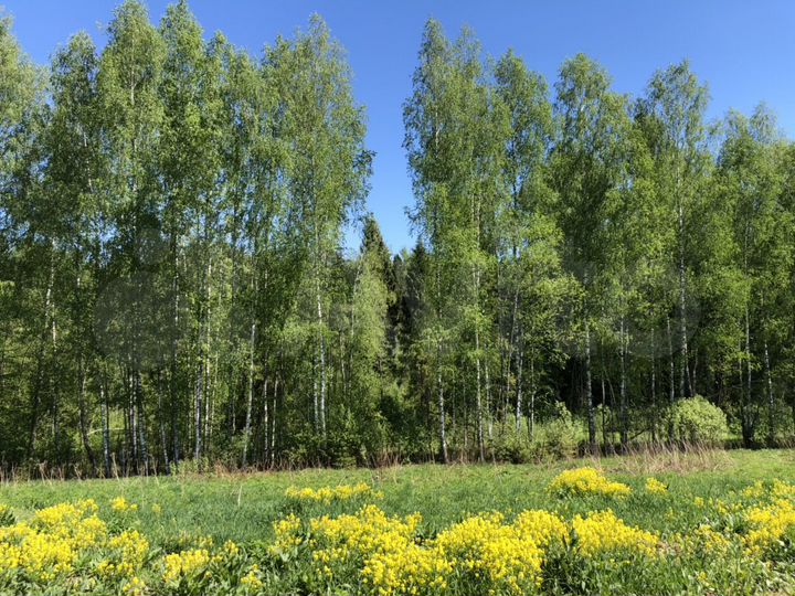 Участок 12 сот. (СНТ, ДНП)