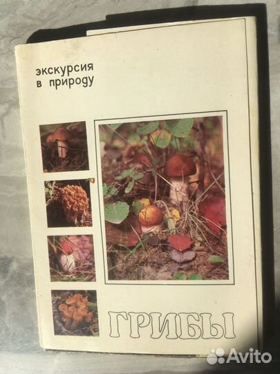 Грибы. Комплект открыток СССР