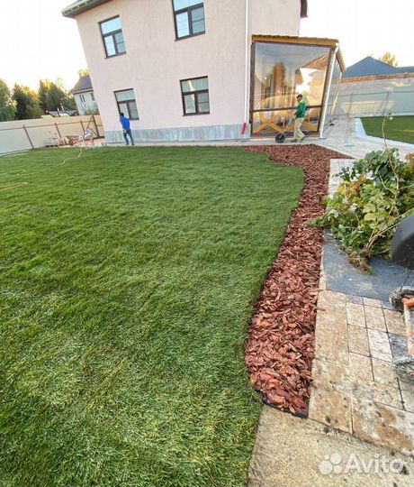 Укладка газона / рулонный газон