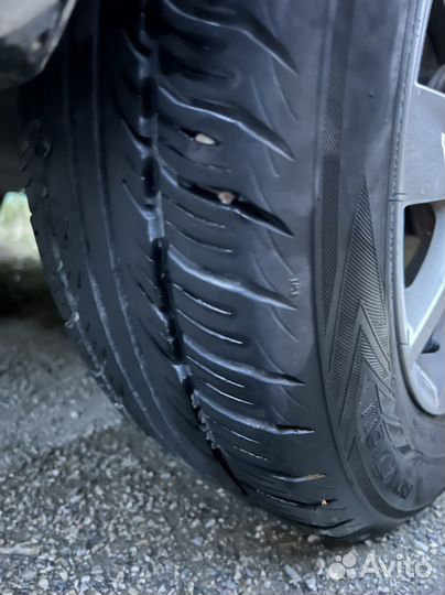 Accelera Alpha 15/15.5 R15