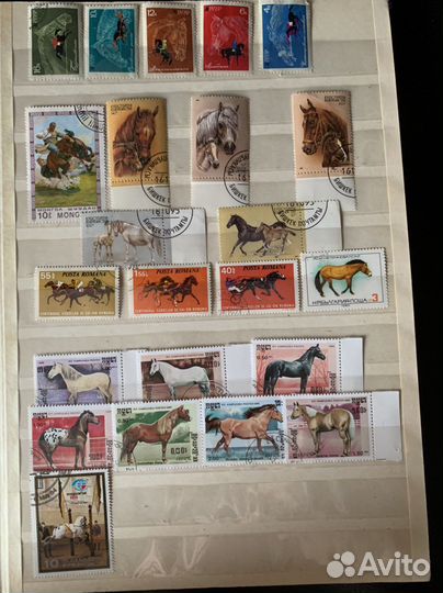 Почтовые марки Лошади