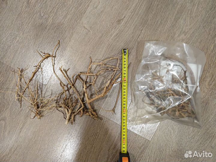 Коряга корни ветки