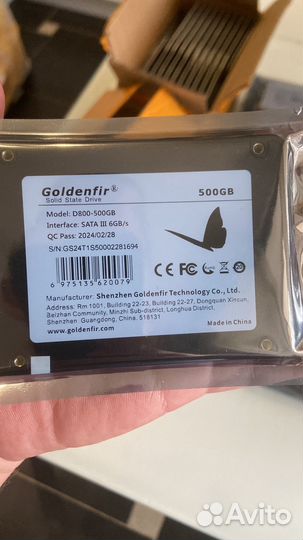 Golden fir 500 gb