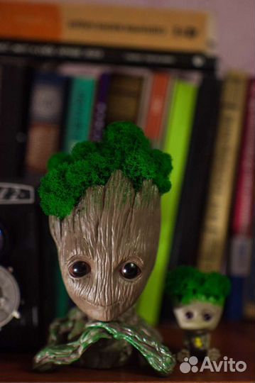 Кашпо с мхом