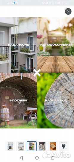 Субстрат для выращивания грибов