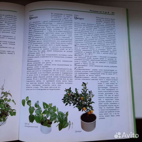 Книга о цветах