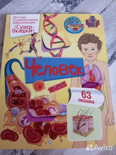 Книги c окошками clever человек