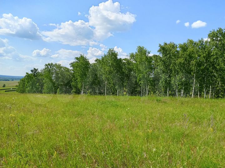 Участок 8 сот. (ИЖС)