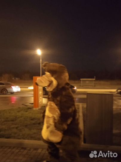 Поздравленый медведь