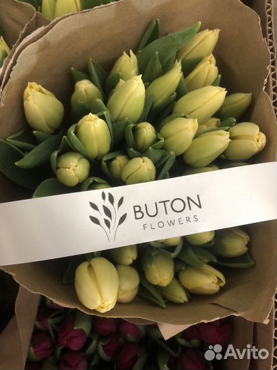 Тюльпаны к 8 марта оптом