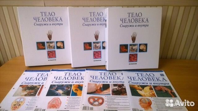 Тело человека снаружи и внутри