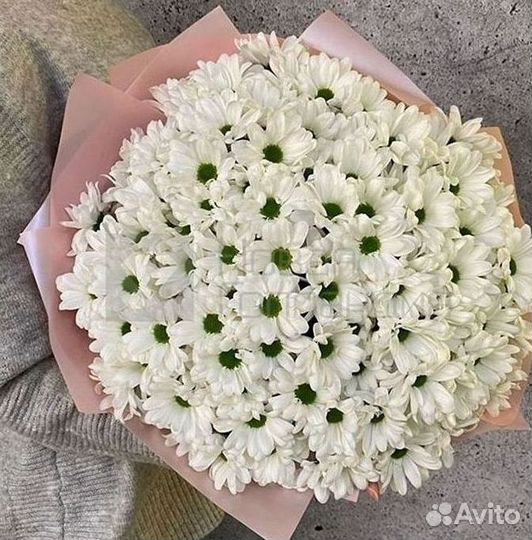 Хризантема Букеты с доставкой