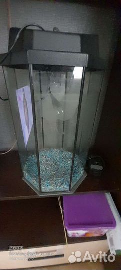 Аквариум