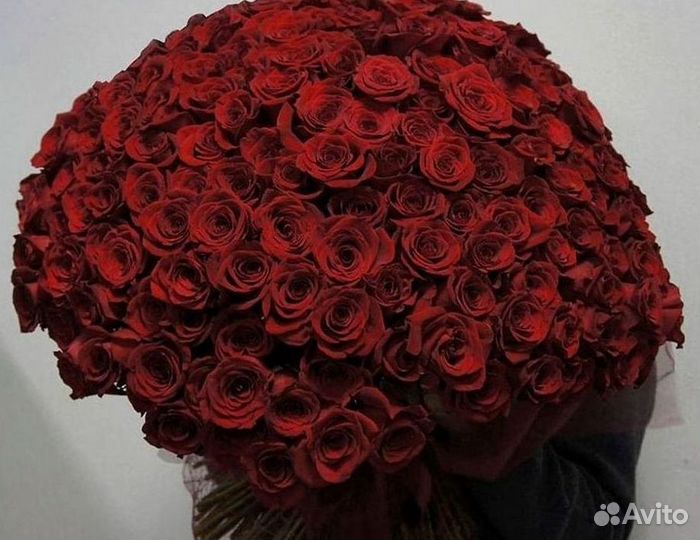 Розы гиганты 140 150 160 170 180 200