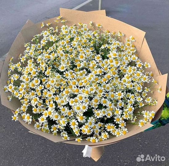 Ромашки Пионы Розы Доставка