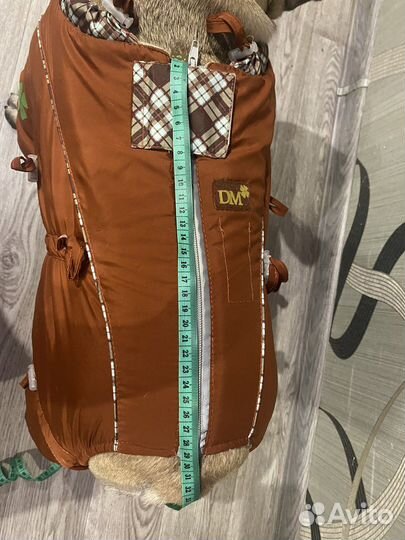 Одежда для средних собак