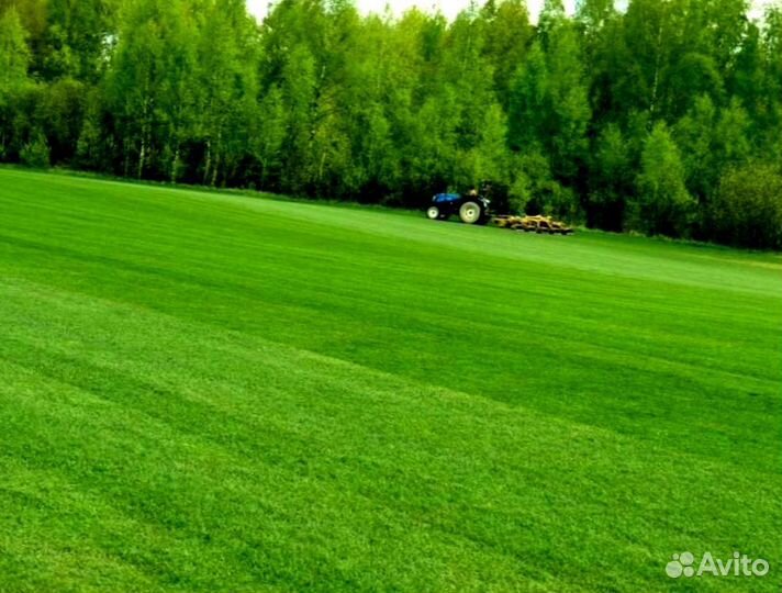 Рулонный газон 