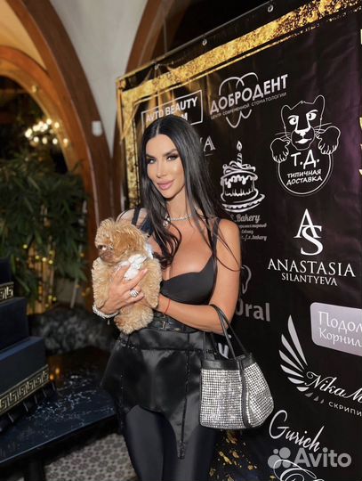 Мальтипу f1 micro N1 Russian Federation offf Belle