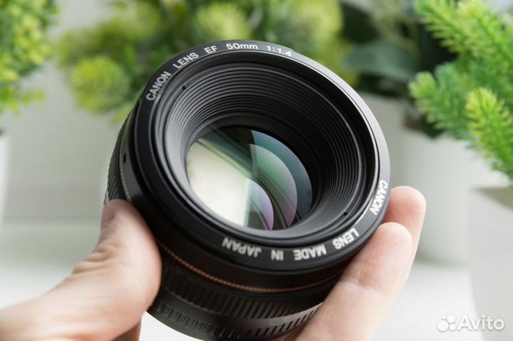 Canon EF 50mm f/1.4 USM + Светофильтр