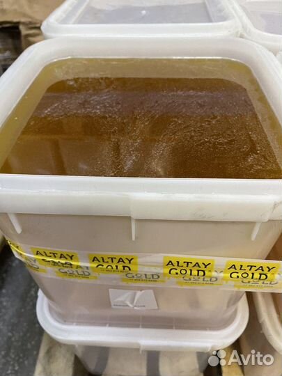 Мед с Алтая свежий цветочный только опт