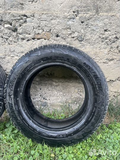 Accelera Snow 175/65 R4