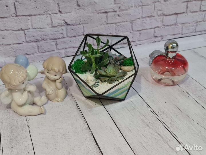 Флорариум. Комнатные растения. Суккуленты. Подарок