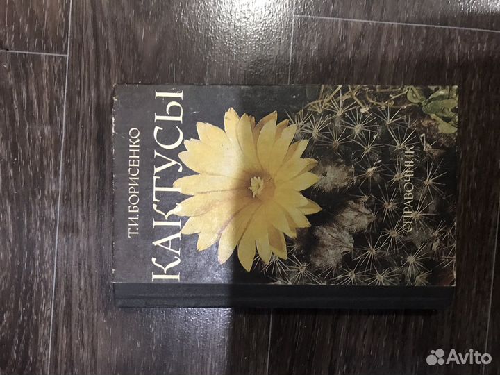 Книга «Кактусы» Борисенко Т.И
