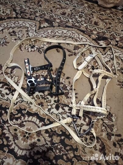 Недоуздоки узда седло для лошади и жеребят