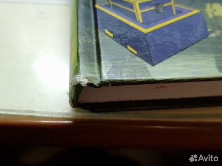 Книга Дневник Стива