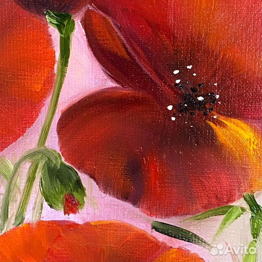 Картина маслом на холсте с Яркими Маками 50х40