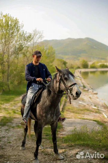 Экскурсии в Геленджике