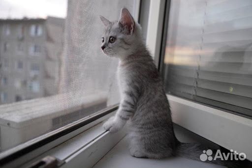 Ремонт Окон, Москитные сетки, Сетки на дверь