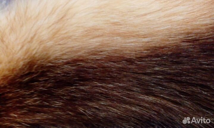 Воротник-опушка капюшона-\ Канадская лиса\