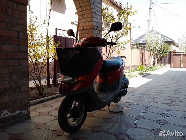 Honda Dio Cesta