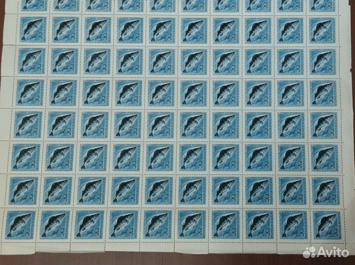Лист марок 8х10 Охрана ценных Рыб СССР чист/клей