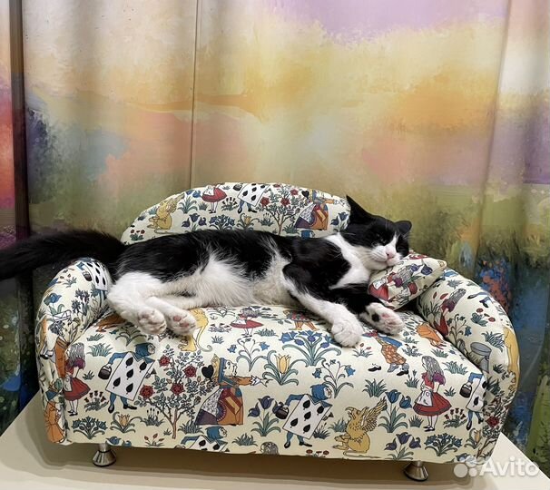 Зоодиван для Стеши