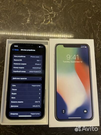 iPhone X, 256 ГБ